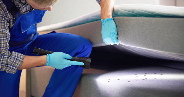 Trusted Horse Cave, KY Pest Control Experts