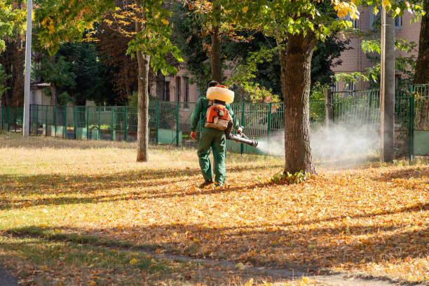 Best Cockroach Control Services  in Horse Cave, KY