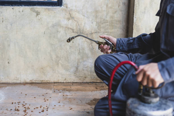 Best Pest Removal Services  in Horse Cave, KY