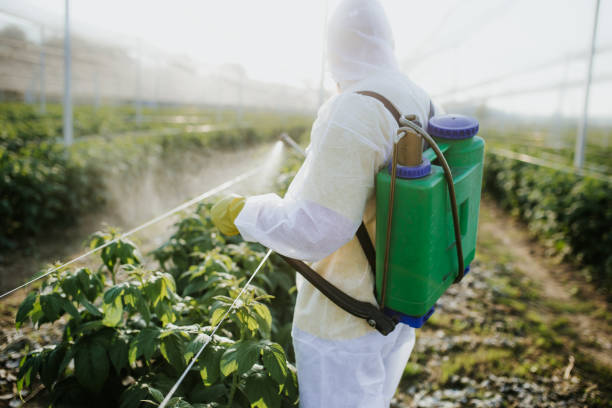 Best Mosquito Control Services  in Horse Cave, KY